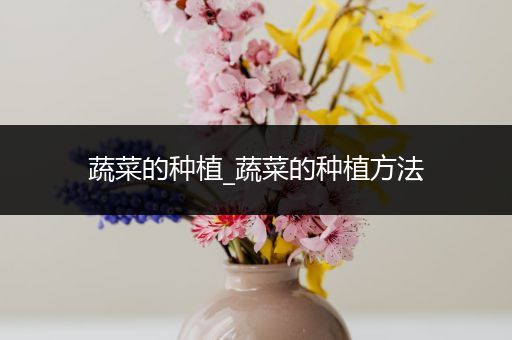 蔬菜的种植_蔬菜的种植方法