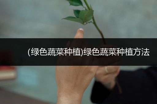 （绿色蔬菜种植)绿色蔬菜种植方法