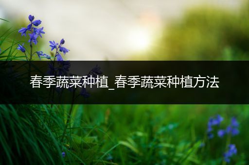 春季蔬菜种植_春季蔬菜种植方法