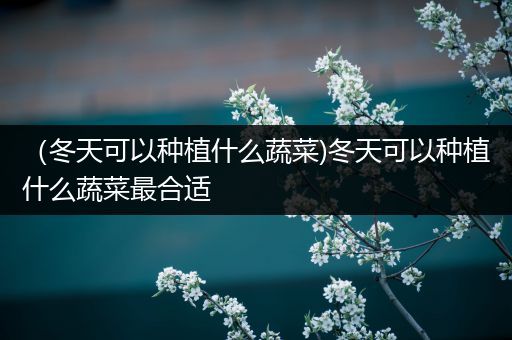 （冬天可以种植什么蔬菜)冬天可以种植什么蔬菜最合适