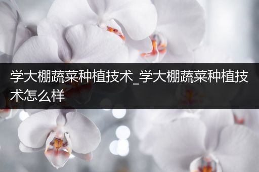 学大棚蔬菜种植技术_学大棚蔬菜种植技术怎么样