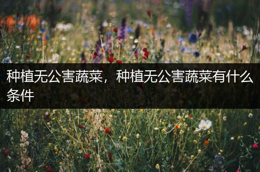 种植无公害蔬菜，种植无公害蔬菜有什么条件