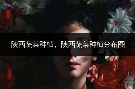 陕西蔬菜种植，陕西蔬菜种植分布图