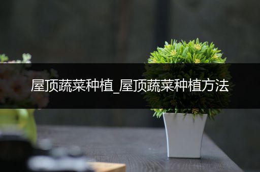 屋顶蔬菜种植_屋顶蔬菜种植方法