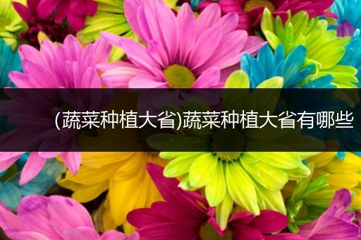 （蔬菜种植大省)蔬菜种植大省有哪些