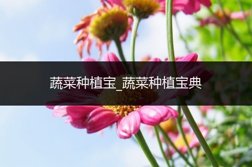 蔬菜种植宝_蔬菜种植宝典