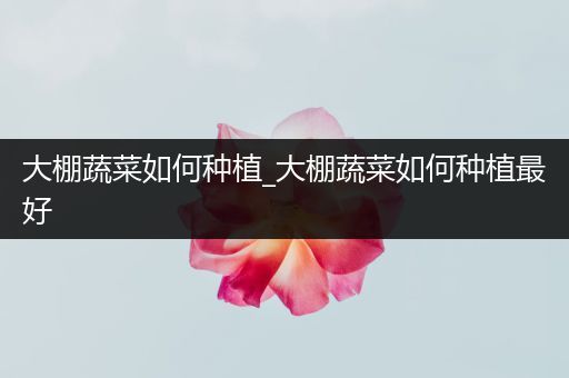 大棚蔬菜如何种植_大棚蔬菜如何种植最好