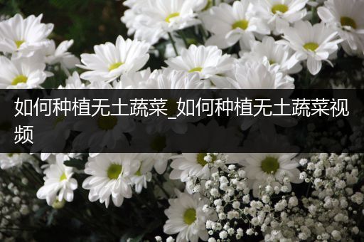 如何种植无土蔬菜_如何种植无土蔬菜视频