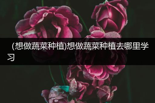 （想做蔬菜种植)想做蔬菜种植去哪里学习