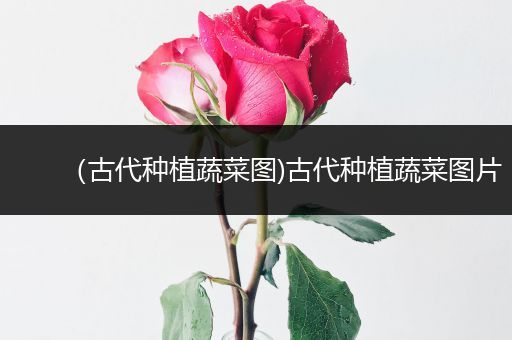 （古代种植蔬菜图)古代种植蔬菜图片