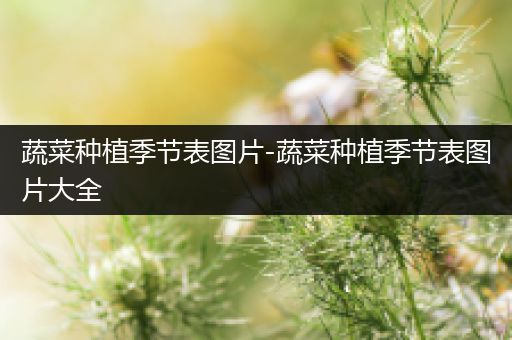 蔬菜种植季节表图片-蔬菜种植季节表图片大全