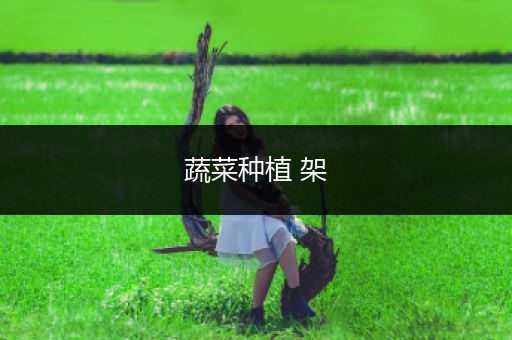 蔬菜种植 架