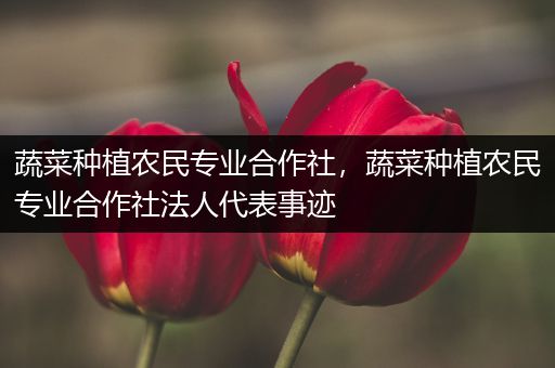 蔬菜种植农民专业合作社，蔬菜种植农民专业合作社法人代表事迹