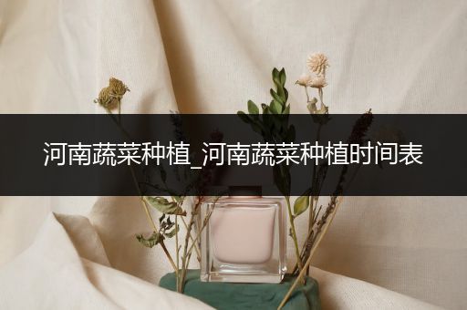 河南蔬菜种植_河南蔬菜种植时间表