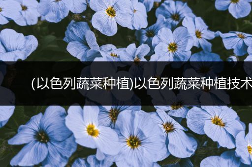 （以色列蔬菜种植)以色列蔬菜种植技术