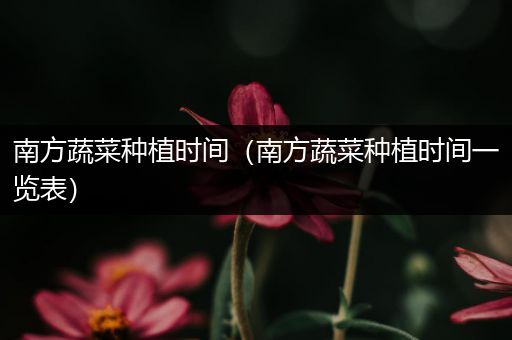 南方蔬菜种植时间（南方蔬菜种植时间一览表）