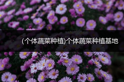 （个体蔬菜种植)个体蔬菜种植基地