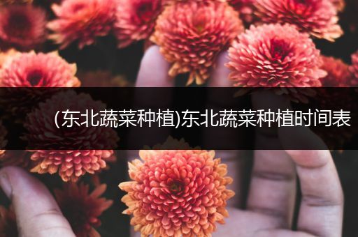 （东北蔬菜种植)东北蔬菜种植时间表