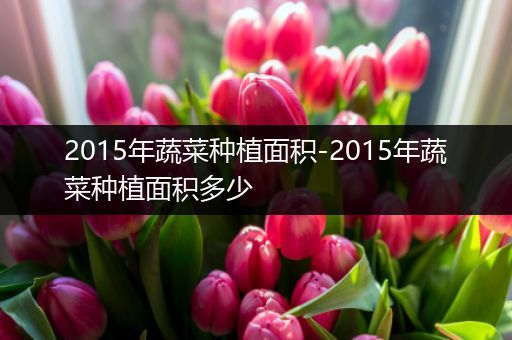 2015年蔬菜种植面积-2015年蔬菜种植面积多少