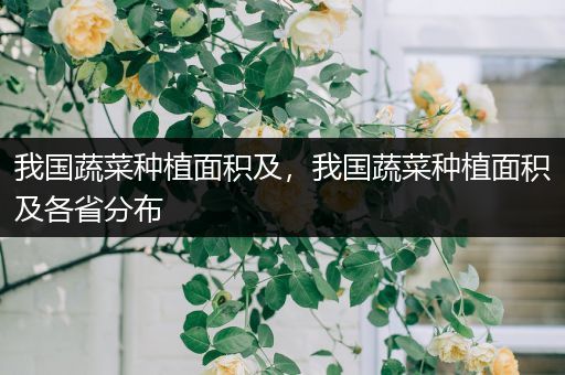 我国蔬菜种植面积及，我国蔬菜种植面积及各省分布