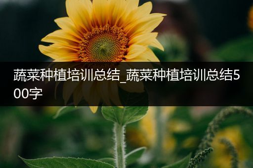 蔬菜种植培训总结_蔬菜种植培训总结500字