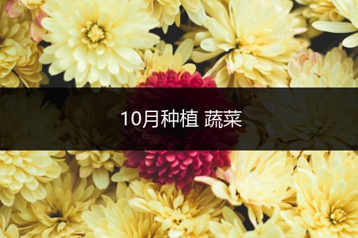 10月种植 蔬菜