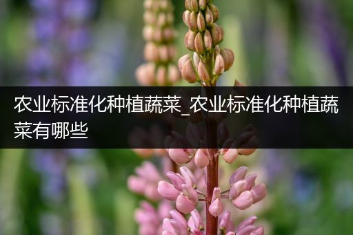 农业标准化种植蔬菜_农业标准化种植蔬菜有哪些