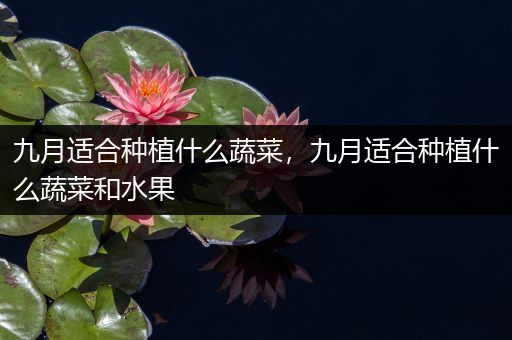 九月适合种植什么蔬菜，九月适合种植什么蔬菜和水果