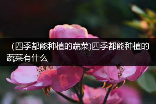 （四季都能种植的蔬菜)四季都能种植的蔬菜有什么