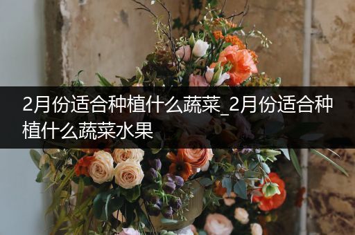 2月份适合种植什么蔬菜_2月份适合种植什么蔬菜水果