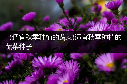 （适宜秋季种植的蔬菜)适宜秋季种植的蔬菜种子