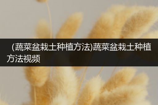 （蔬菜盆栽土种植方法)蔬菜盆栽土种植方法视频