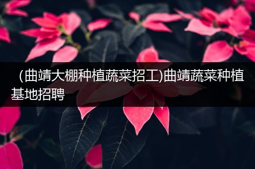 （曲靖大棚种植蔬菜招工)曲靖蔬菜种植基地招聘