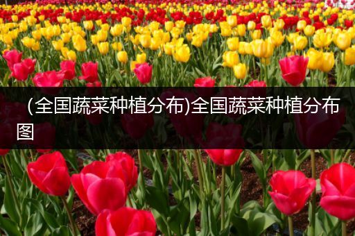 （全国蔬菜种植分布)全国蔬菜种植分布图