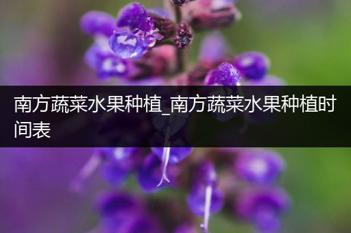 南方蔬菜水果种植_南方蔬菜水果种植时间表