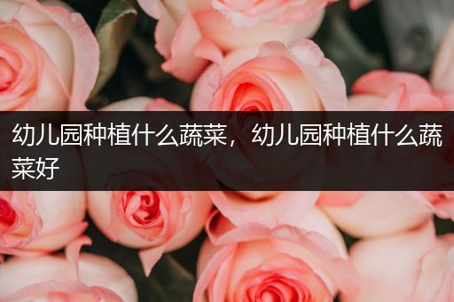 幼儿园种植什么蔬菜，幼儿园种植什么蔬菜好