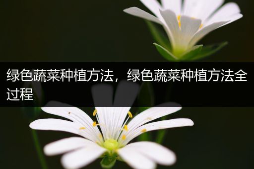 绿色蔬菜种植方法，绿色蔬菜种植方法全过程