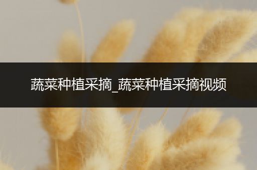 蔬菜种植采摘_蔬菜种植采摘视频