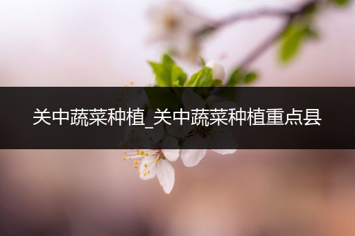 关中蔬菜种植_关中蔬菜种植重点县