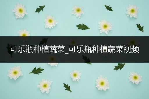 可乐瓶种植蔬菜_可乐瓶种植蔬菜视频