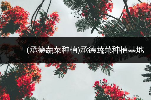 （承德蔬菜种植)承德蔬菜种植基地