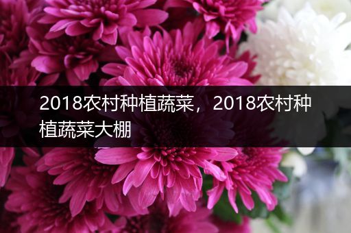 2018农村种植蔬菜，2018农村种植蔬菜大棚