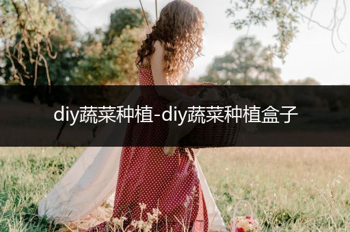 diy蔬菜种植-diy蔬菜种植盒子