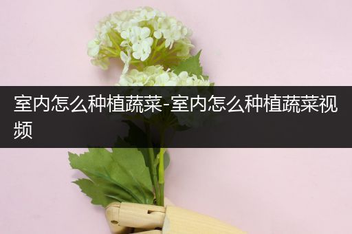 室内怎么种植蔬菜-室内怎么种植蔬菜视频