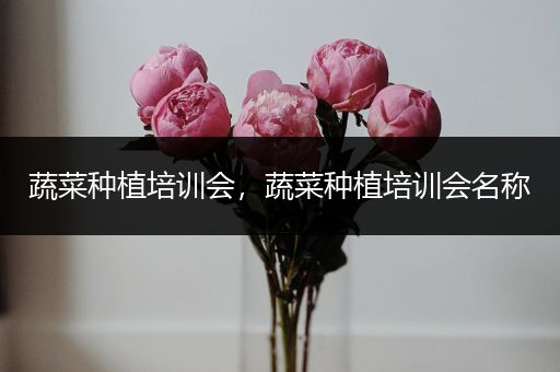 蔬菜种植培训会，蔬菜种植培训会名称