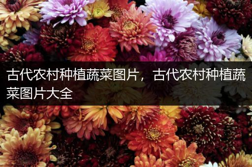 古代农村种植蔬菜图片，古代农村种植蔬菜图片大全