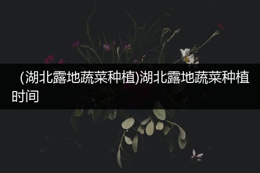 （湖北露地蔬菜种植)湖北露地蔬菜种植时间