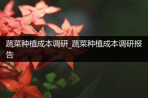 蔬菜种植成本调研_蔬菜种植成本调研报告