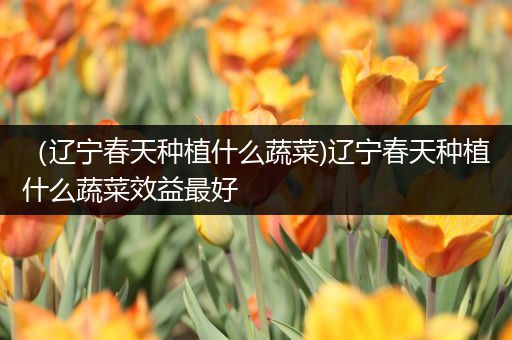 （辽宁春天种植什么蔬菜)辽宁春天种植什么蔬菜效益最好