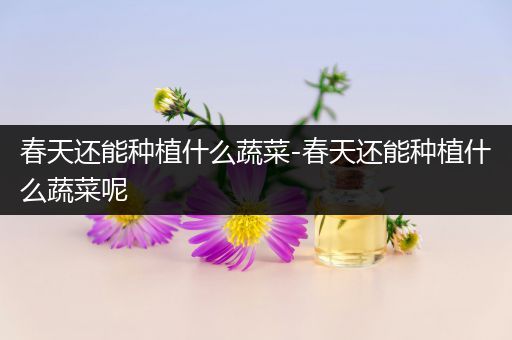 春天还能种植什么蔬菜-春天还能种植什么蔬菜呢